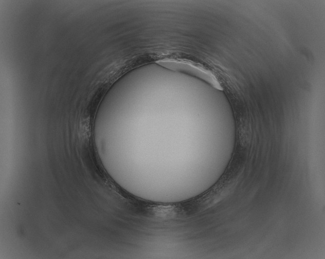 X0000116550085200912241603