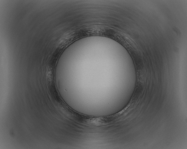 X0000116550086200912241603