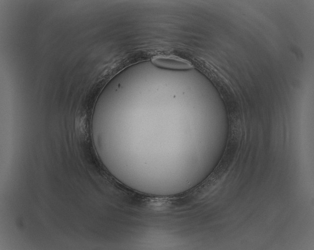 X0000116550088200912241603