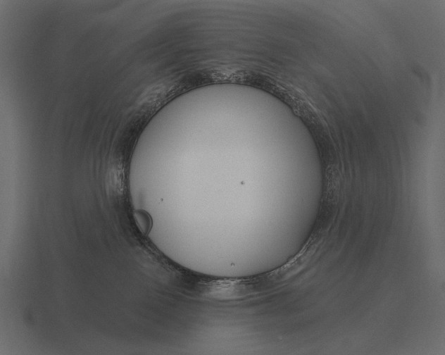 X0000116550090200912241604