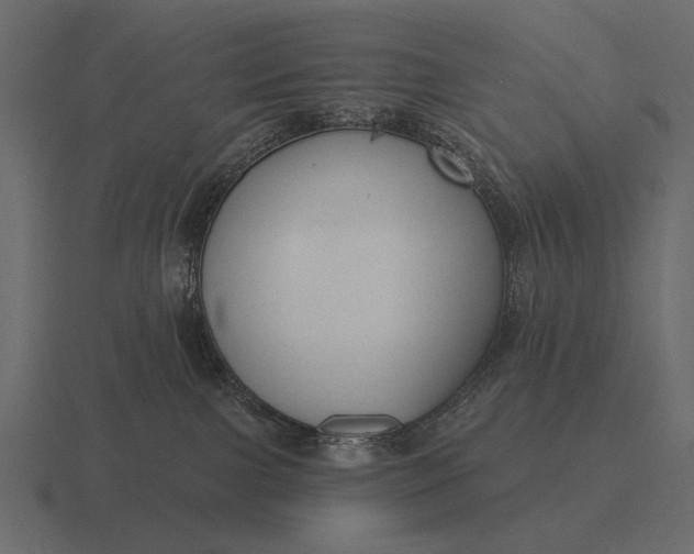 X0000116550091200912241604