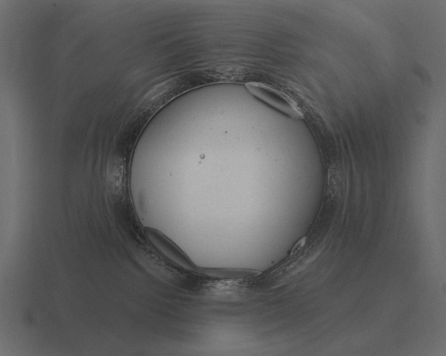 X0000116550092200912241604