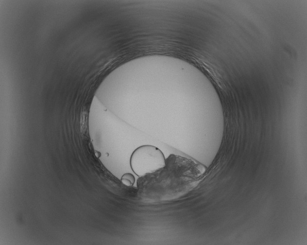 X0000116550093200912241604