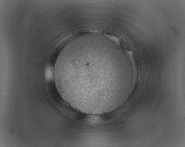 X0000116550095200912241604