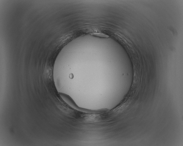 X0000116550096200912241604