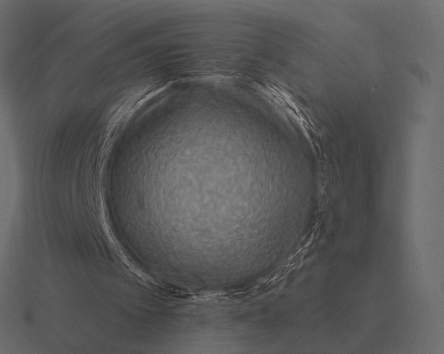 X0000116550097200912241603