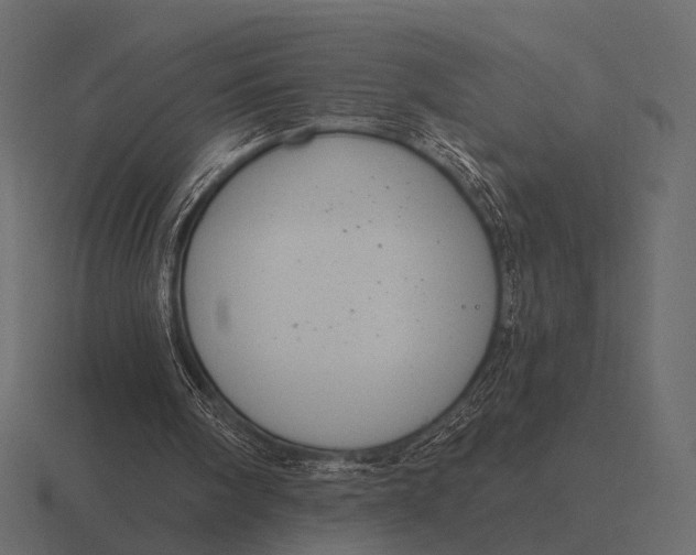 X0000116550098200912241603