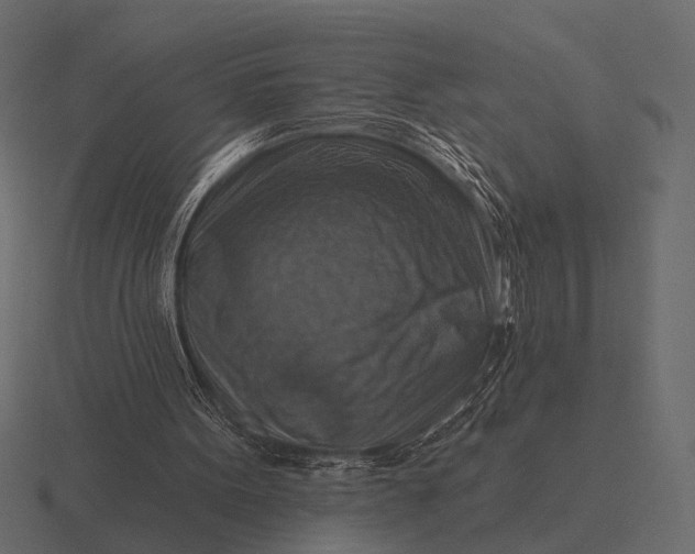 X0000116550099200912241603