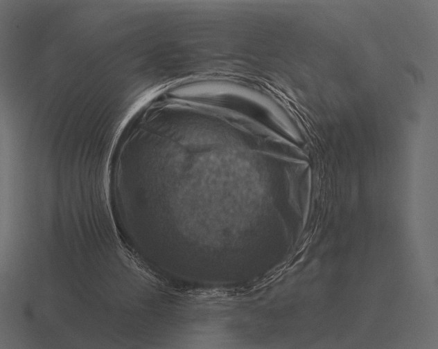 X0000116550100200912241603