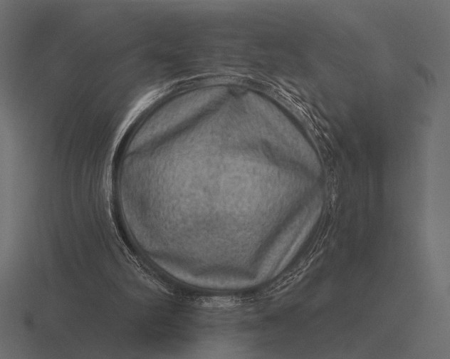 X0000116550102200912241603