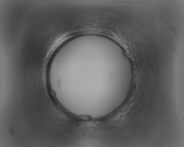 X0000116550103200912241603