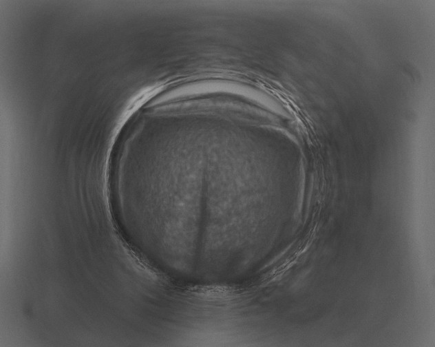 X0000116550104200912241603