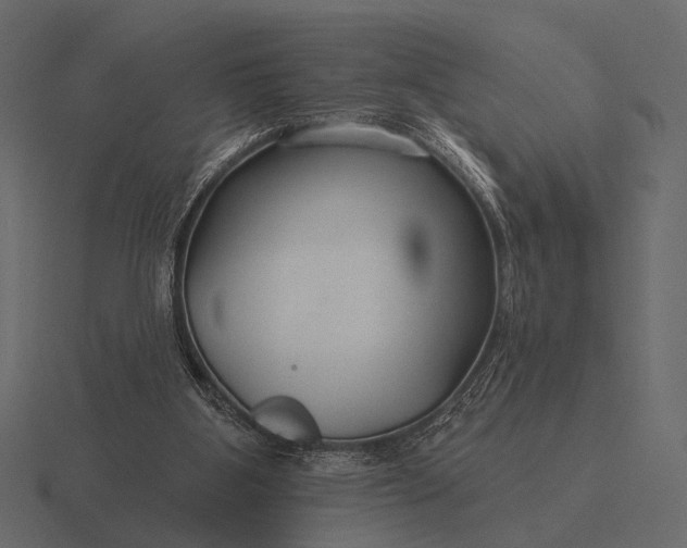 X0000116550107200912241603