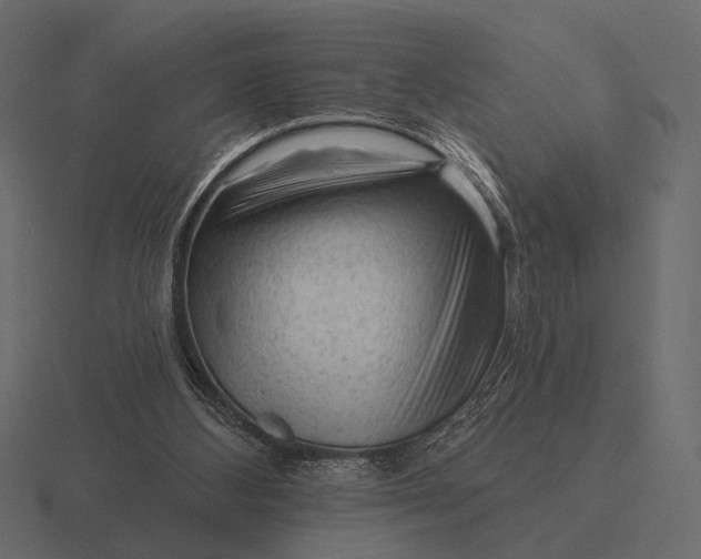 X0000116550108200912241603