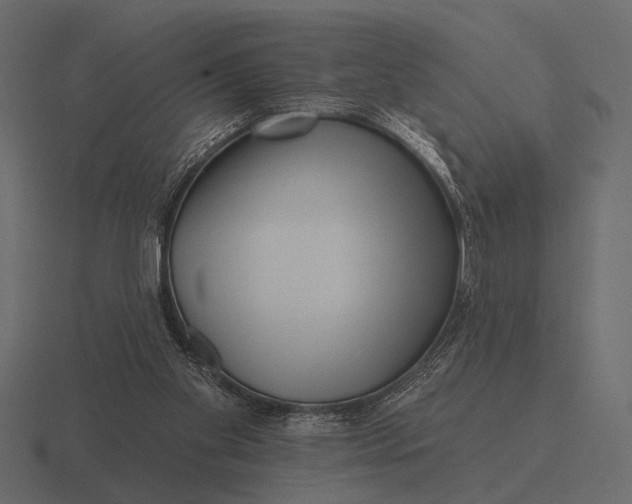 X0000116550109200912241603