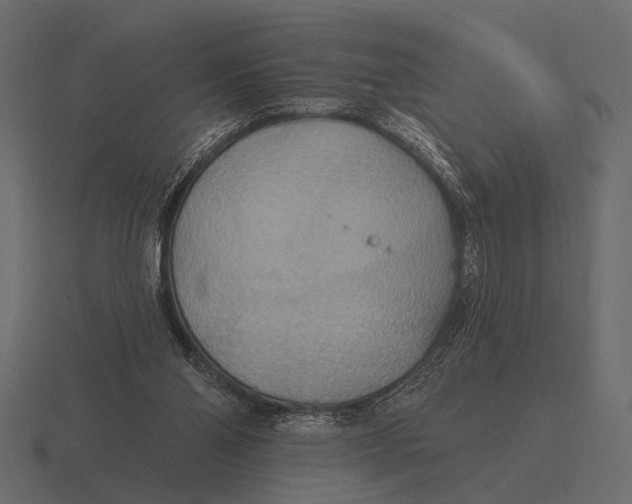 X0000116550110200912241603