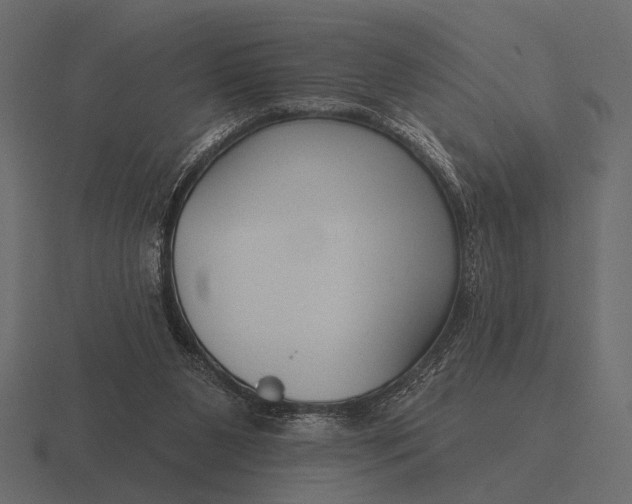 X0000116550111200912241603