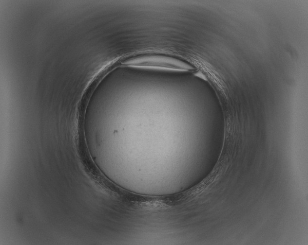 X0000116550112200912241603