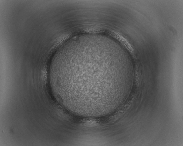 X0000116550113200912241603