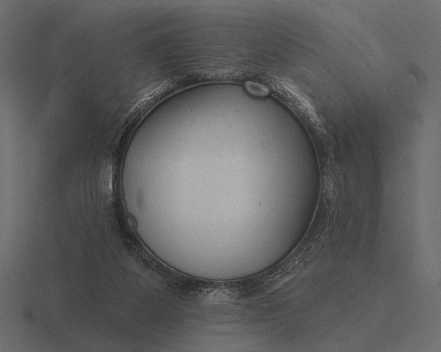 X0000116550115200912241603