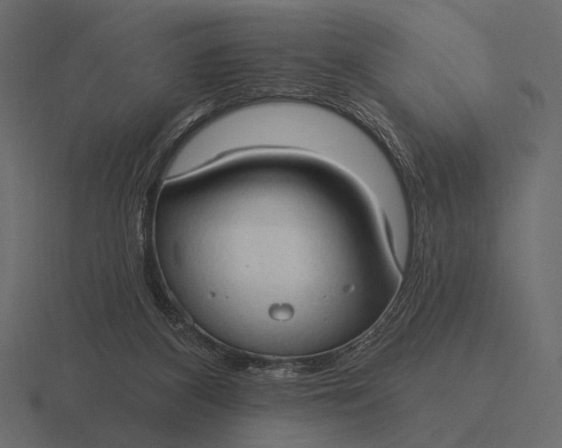 X0000116550116200912241603