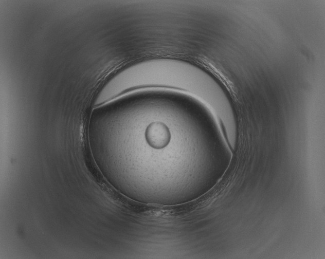 X0000116550117200912241603