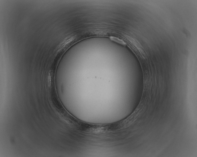 X0000116550120200912241603