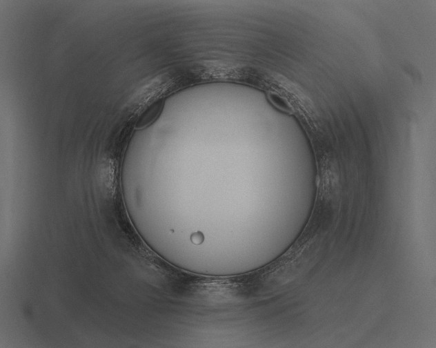 X0000116550121200912241603