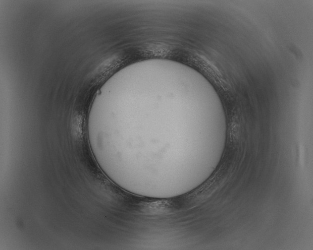 X0000116550122200912241603