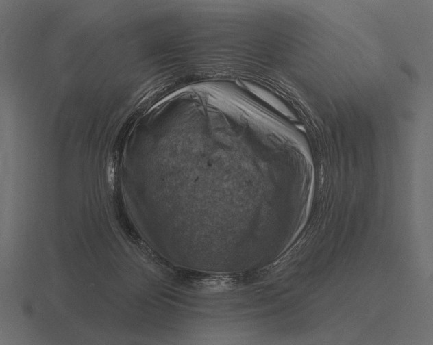 X0000116550124200912241603