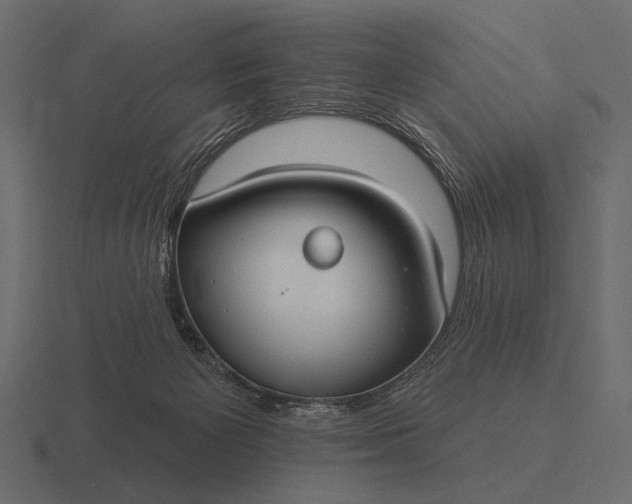 X0000116550125200912241603