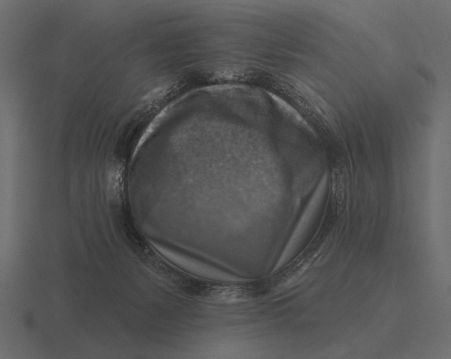 X0000116550127200912241603