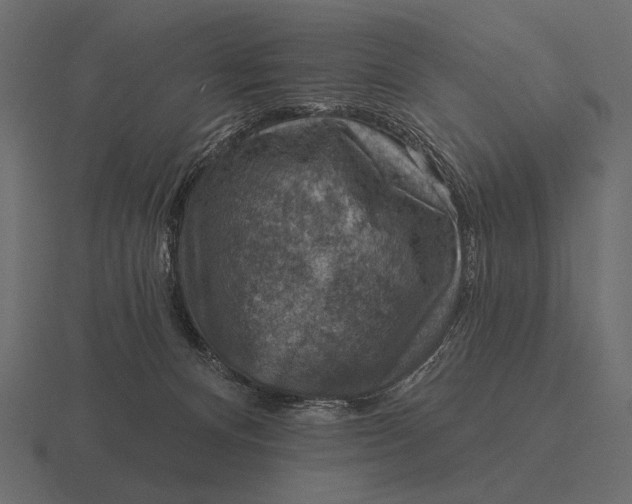 X0000116550128200912241603