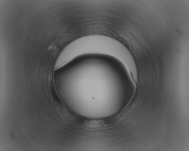 X0000116550129200912241603