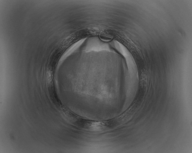 X0000116550130200912241603