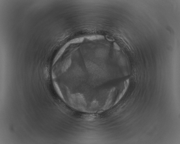 X0000116550131200912241603