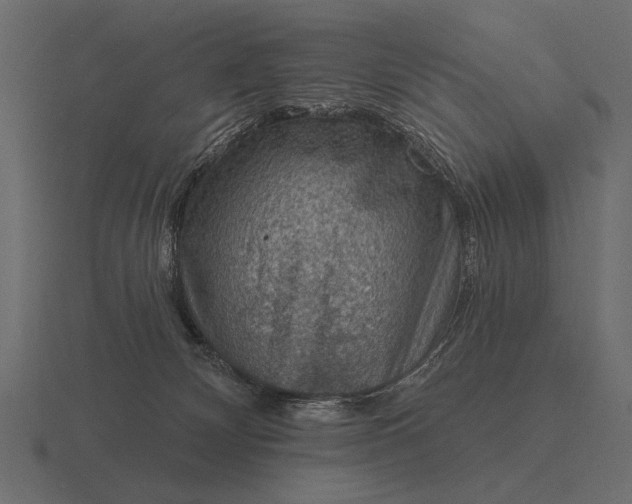 X0000116550132200912241603