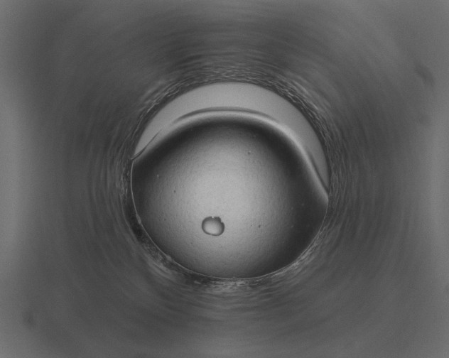 X0000116550136200912241603