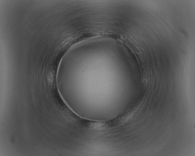 X0000116550139200912241602