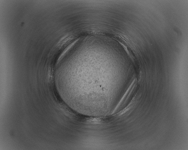 X0000116550140200912241602