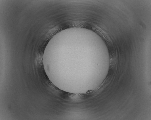 X0000116550142200912241602