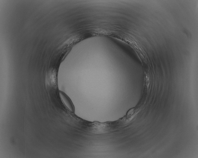 X0000116550143200912241602