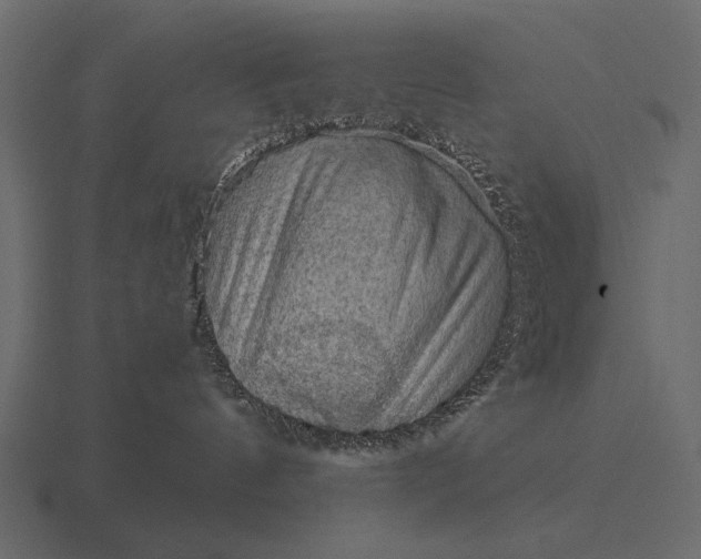 X0000116550144200912241602