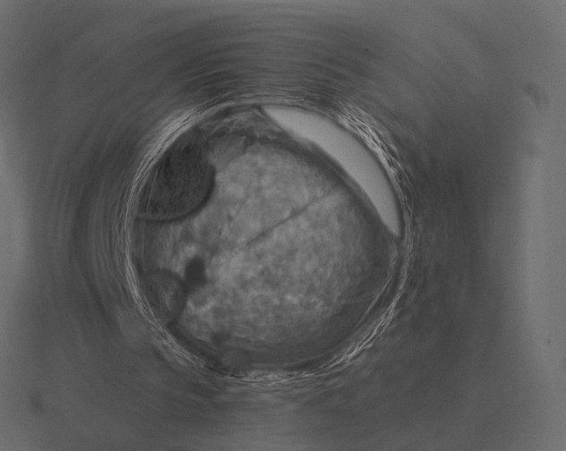 X0000116550145200912241602