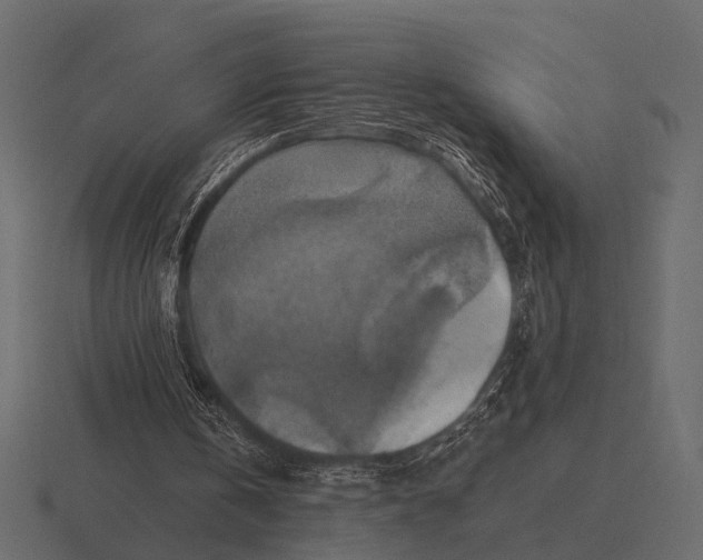 X0000116550146200912241602