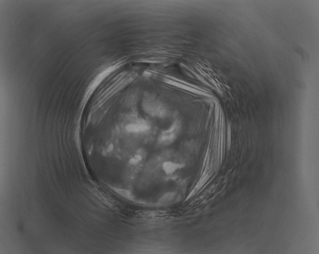 X0000116550147200912241602