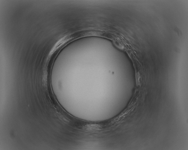 X0000116550150200912241602