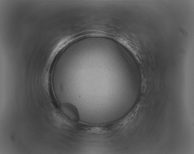 X0000116550151200912241602