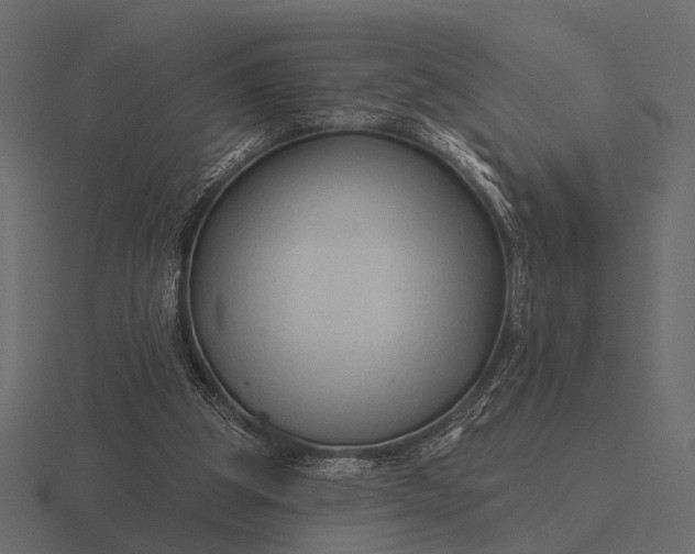 X0000116550153200912241602