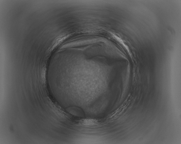 X0000116550154200912241602